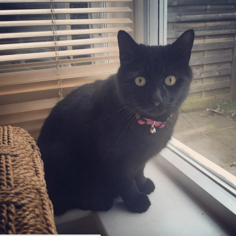 Screen Shot 2016-01-27 at 14.04.23.png